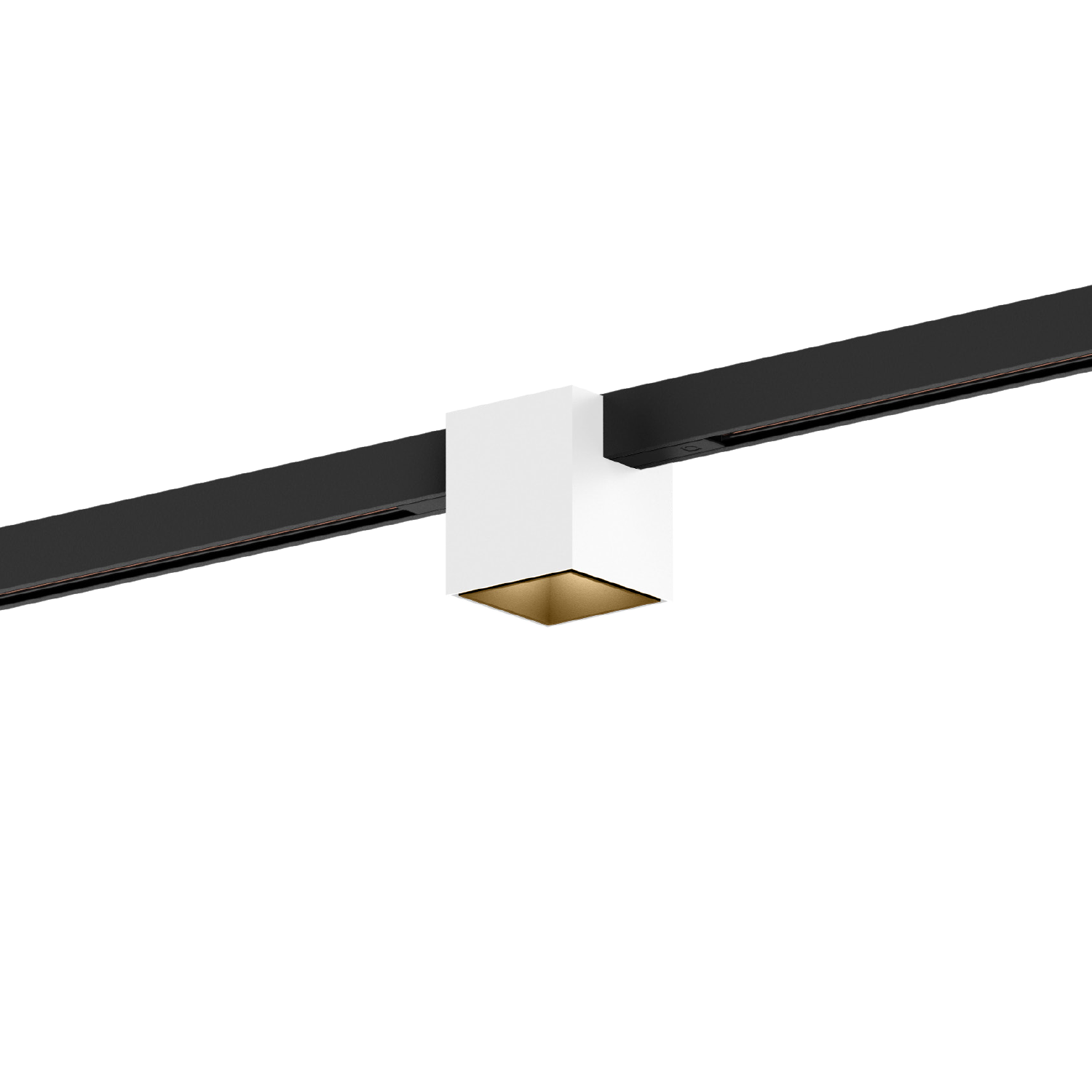 Blanc mat + Champagne (Rail noir)