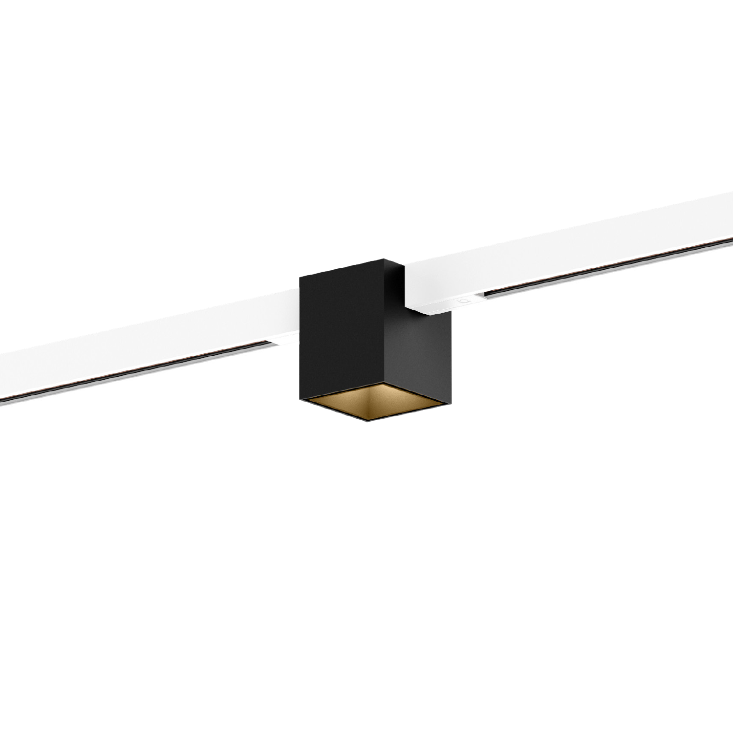 Noir mat + Champagne (Rail blanc)