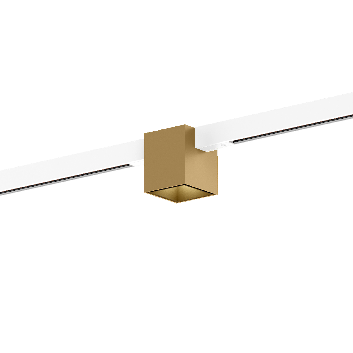 Champagne (Rail blanc)