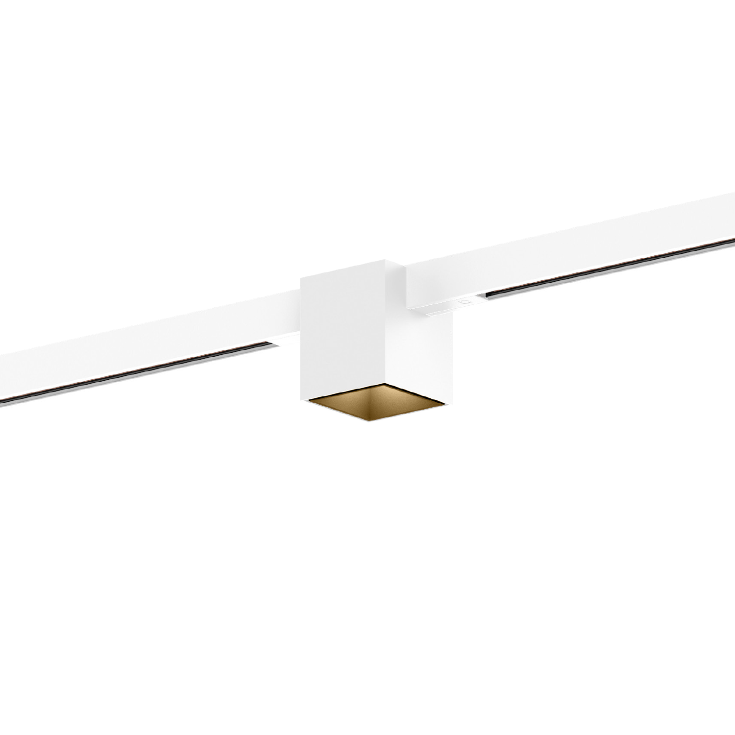 Blanc mat + Champagne (Rail blanc)