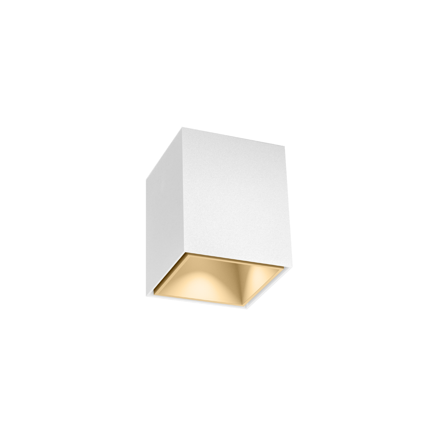 Blanc mat + Champagne