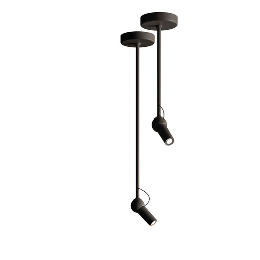 Bird Suspensions / Plafonniers noir