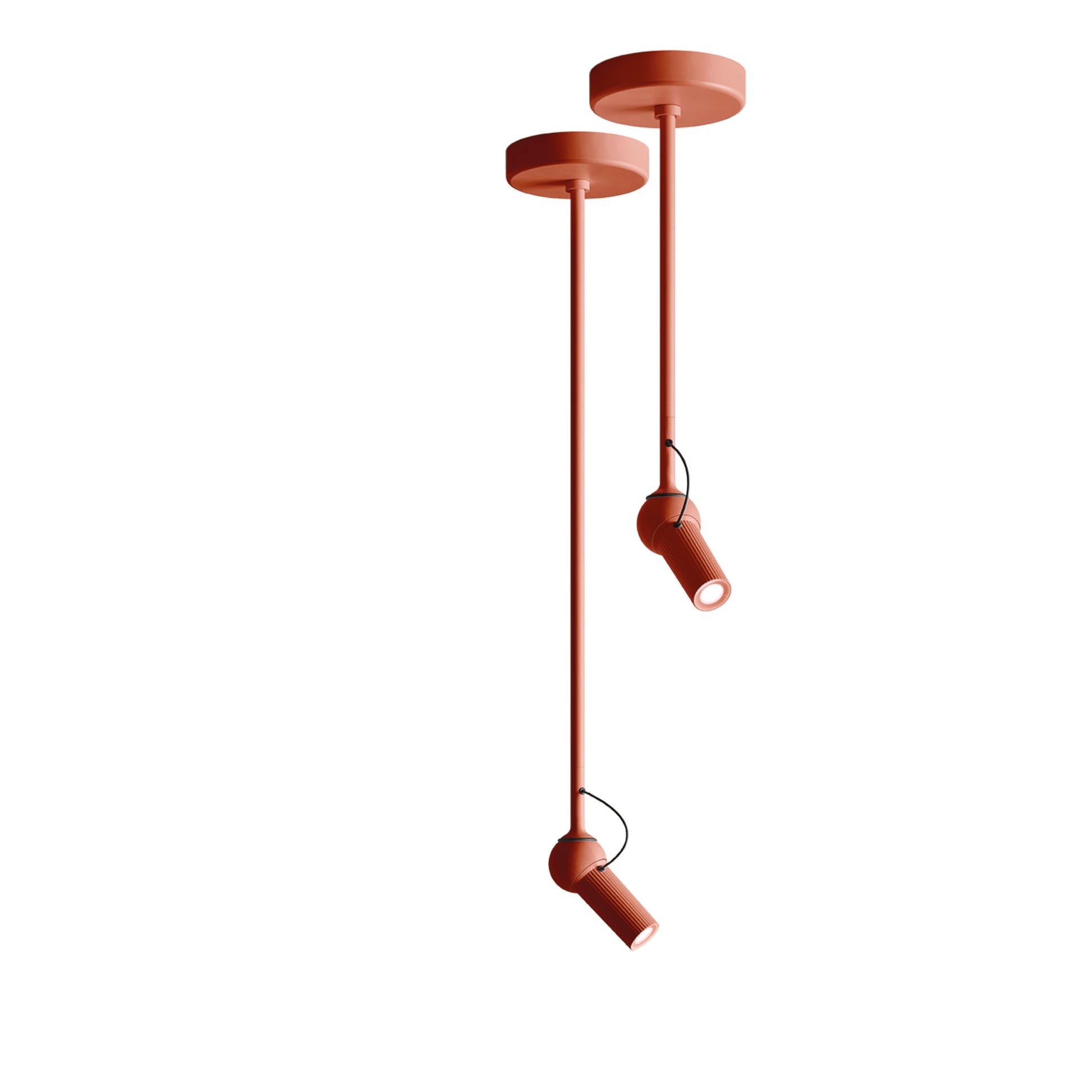 Bird Suspensions / Plafonniers rouge