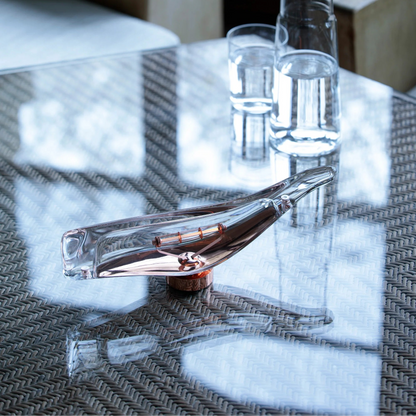 Cachalot Baladeuses et nomades LED