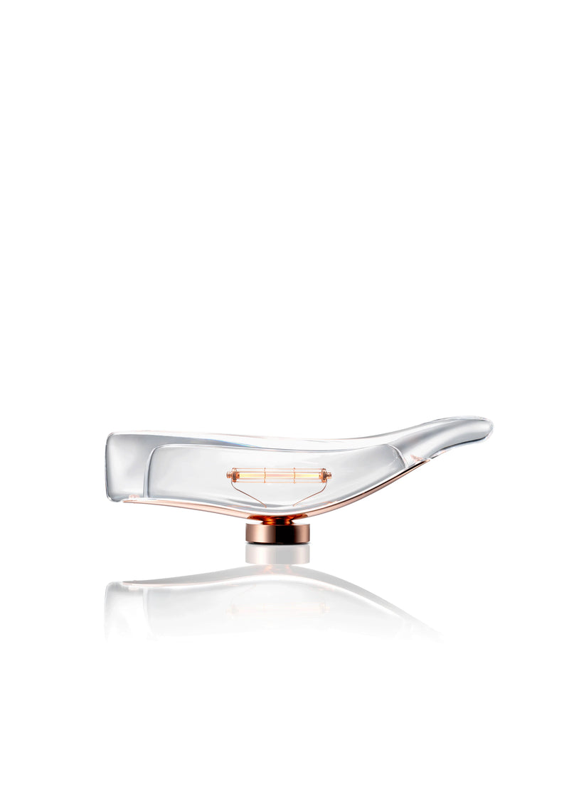Cachalot Baladeuses et nomades LED