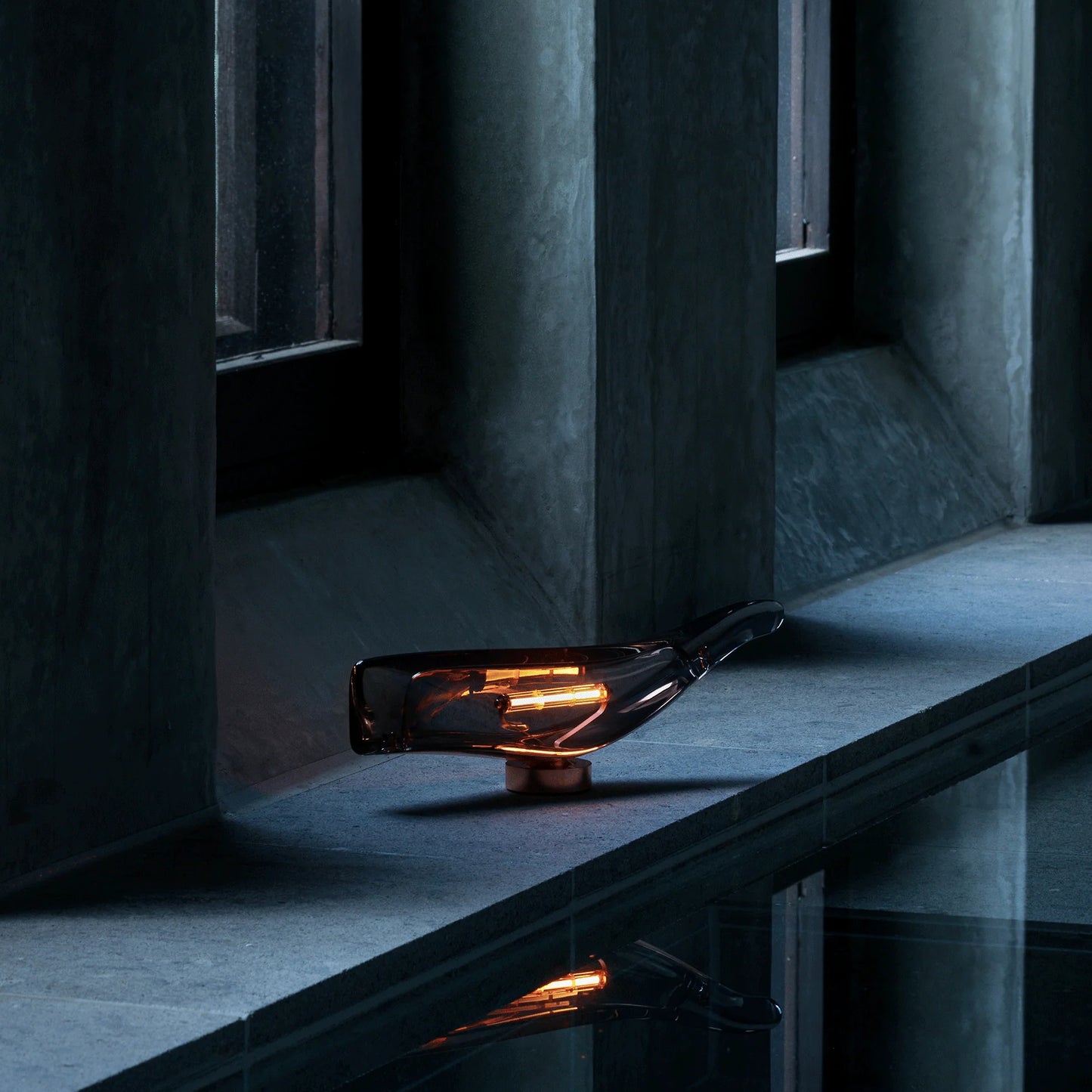 Cachalot Baladeuses et nomades LED