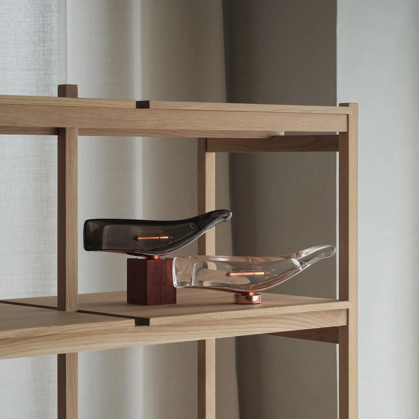 Cachalot Baladeuses et nomades LED