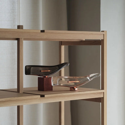 Cachalot Baladeuses et nomades LED