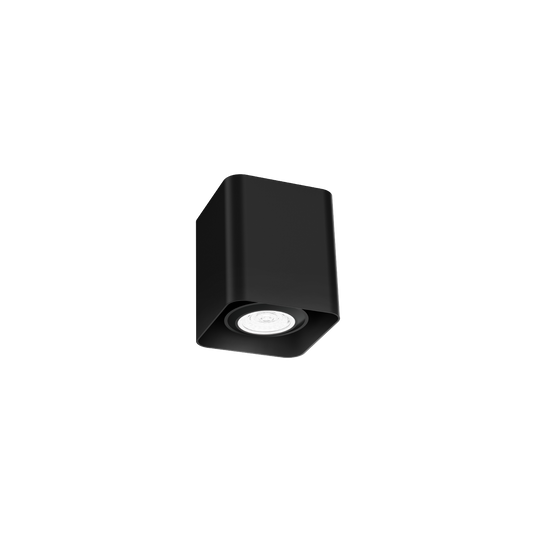 Docus Mini 1.0 PAR16 Plafonniers