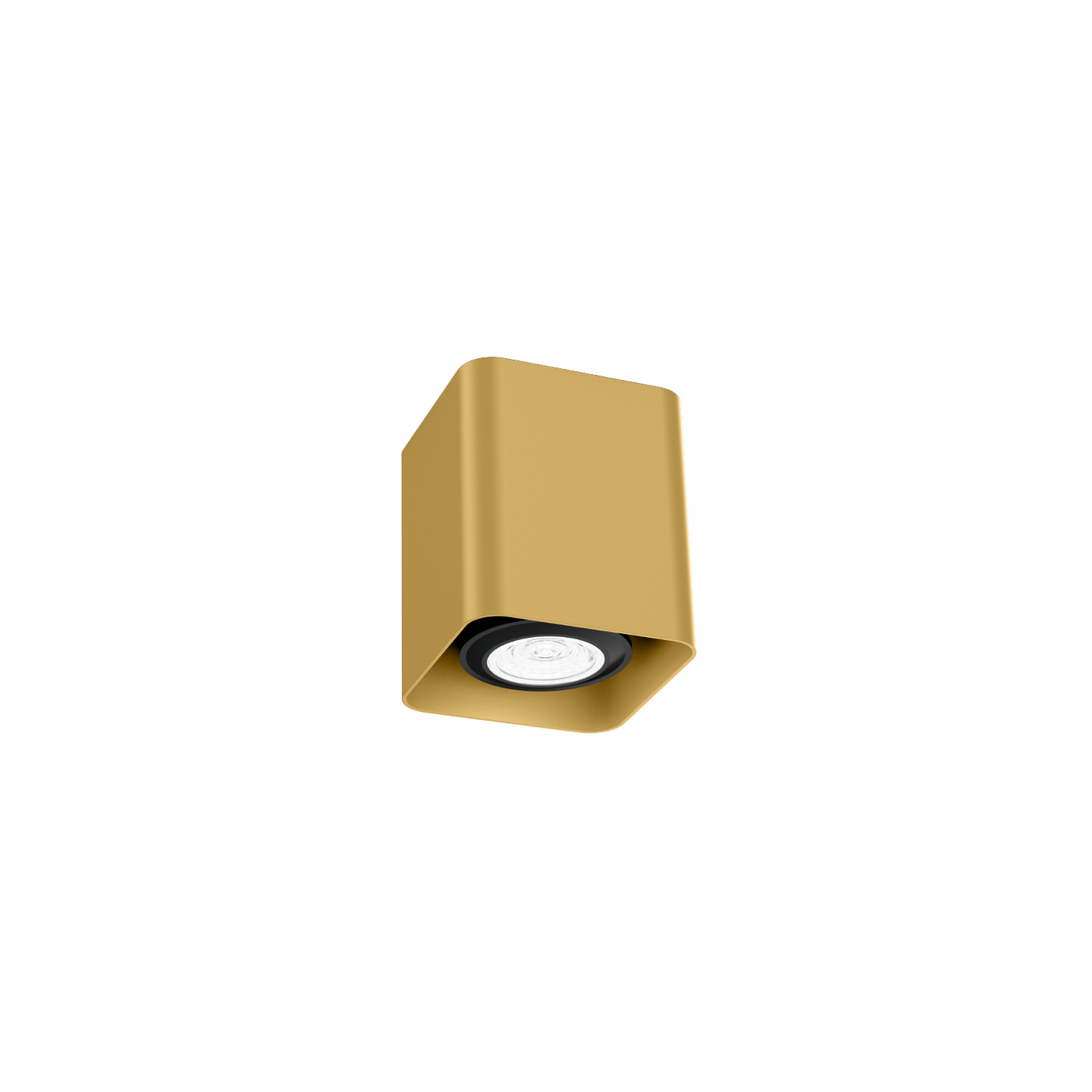 Docus Mini 1.0 PAR16 Plafonniers