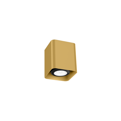 Docus Mini 1.0 PAR16 Plafonniers