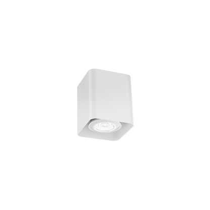 Docus Mini 1.0 PAR16 Plafonniers
