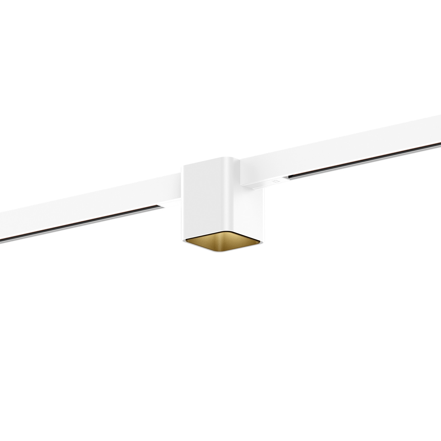 Or (Rail blanc)