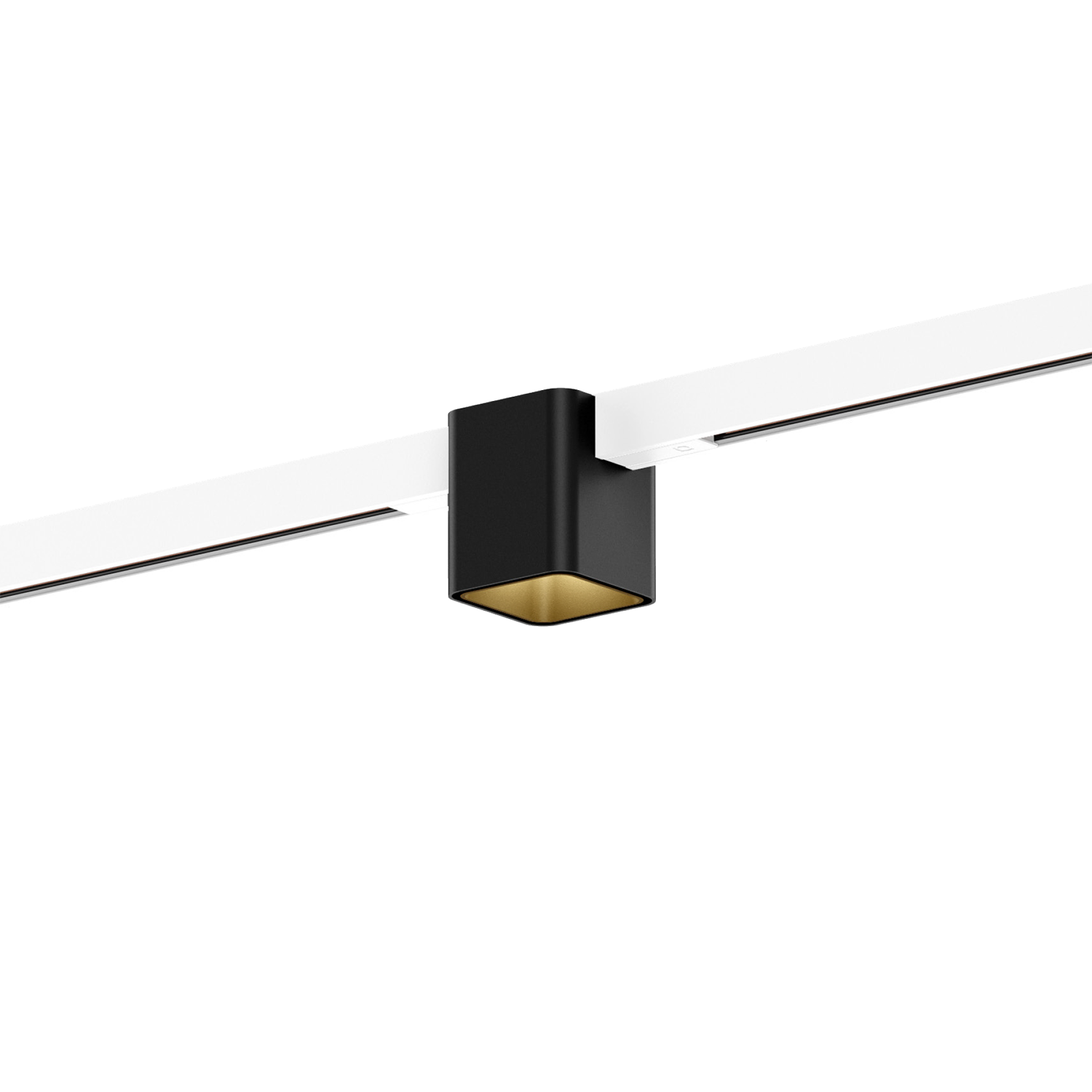Or mat (Rail blanc)