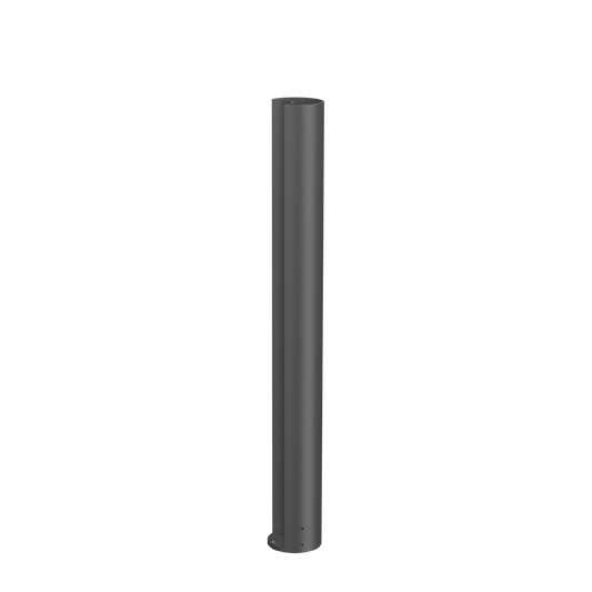 Gate 1.0 Pole 650