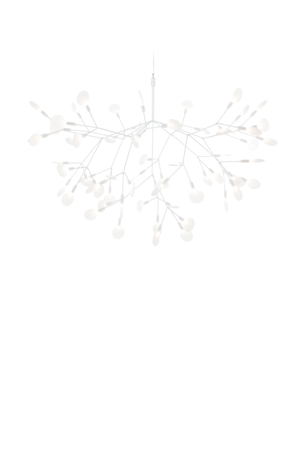Heracleum III Large Suspensions LED