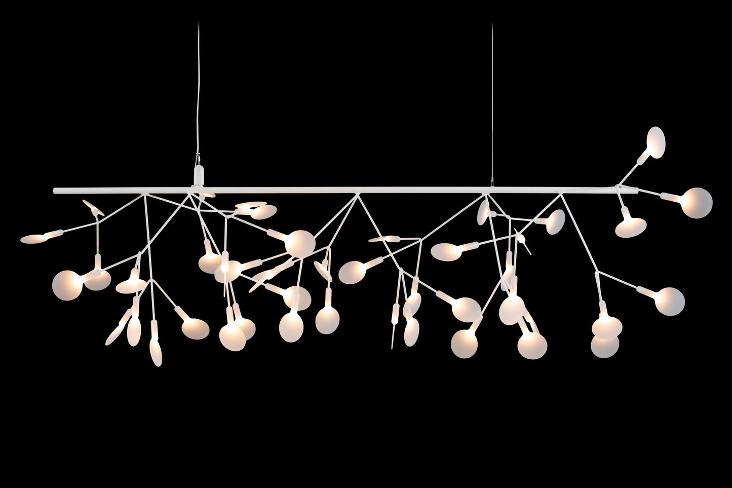 Heracleum III Endless Suspensions LED