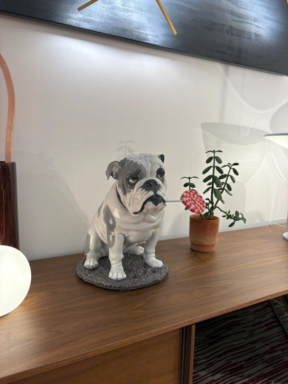 Bulldog Blanc Figurines Outlet