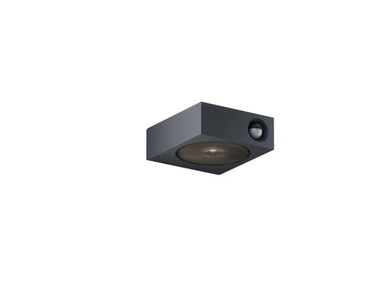 Luci Control Appliques Outdoor