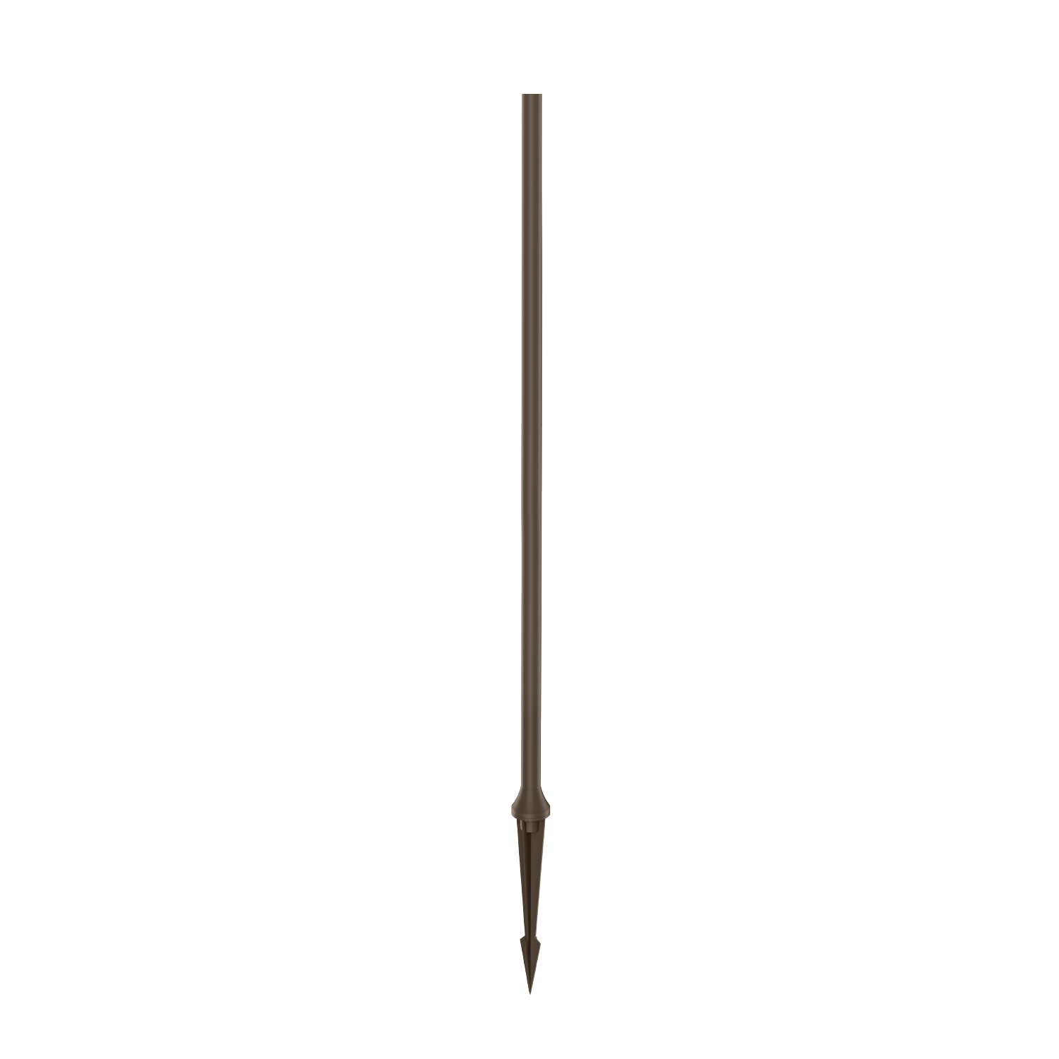 Bronze