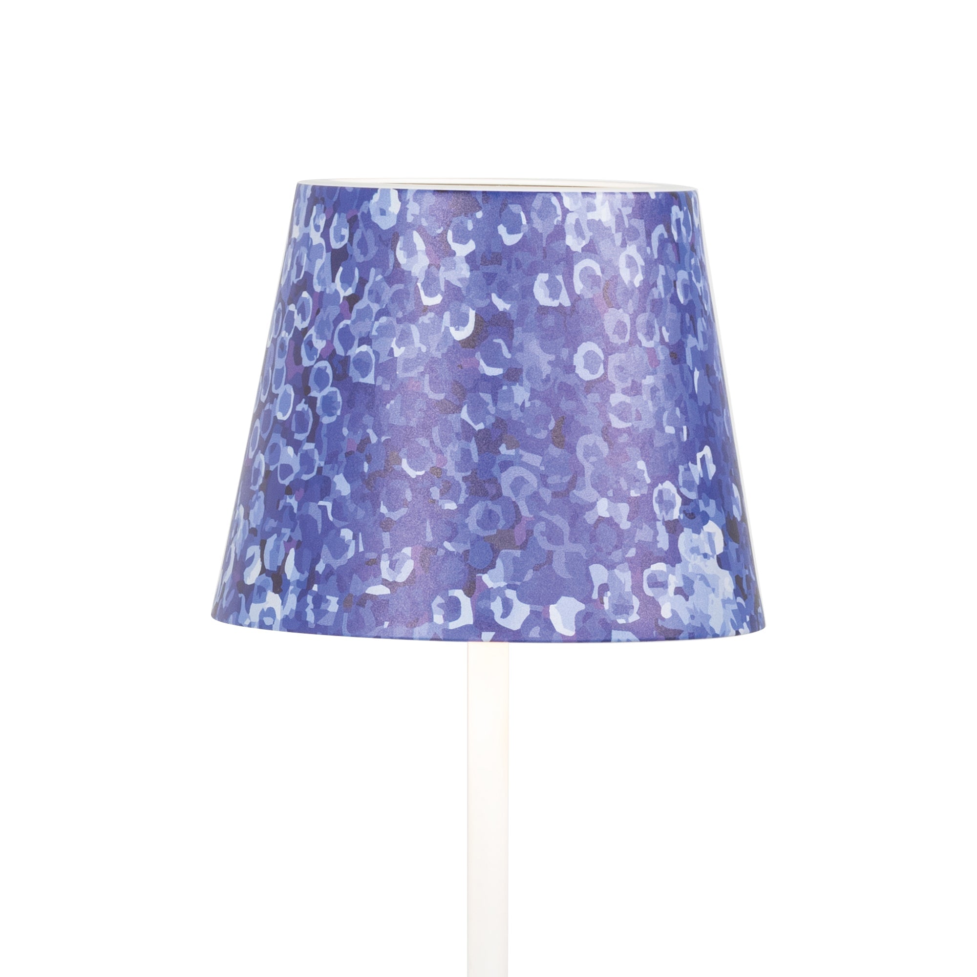 Hortensia bleue