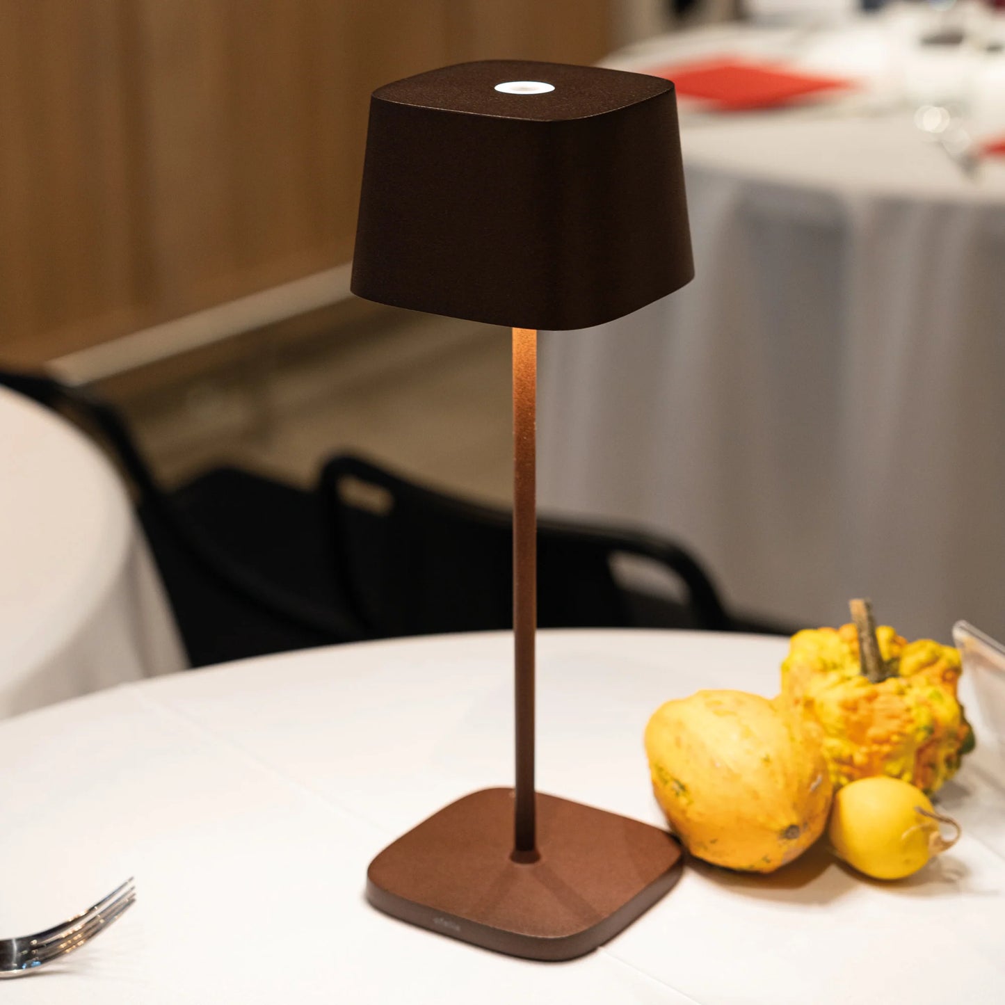 Ofelia Pro Baladeuses et nomades LED