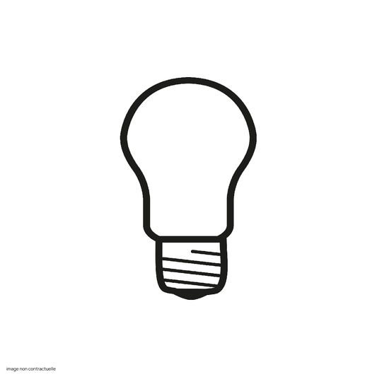 Ampoule E27 15W LED