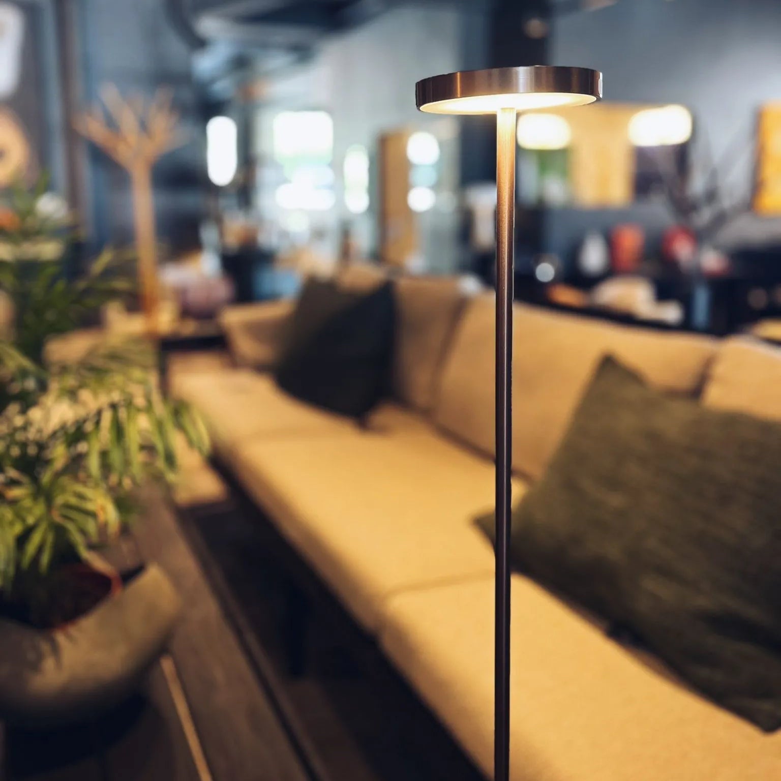 Luxciole XXL Liseuses Baladeuses et nomades LED