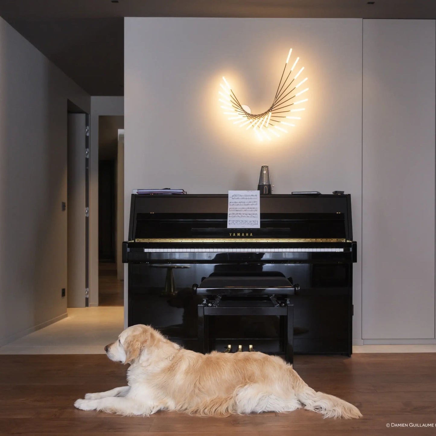 M101 65cm Appliques/ Plafonniers LED