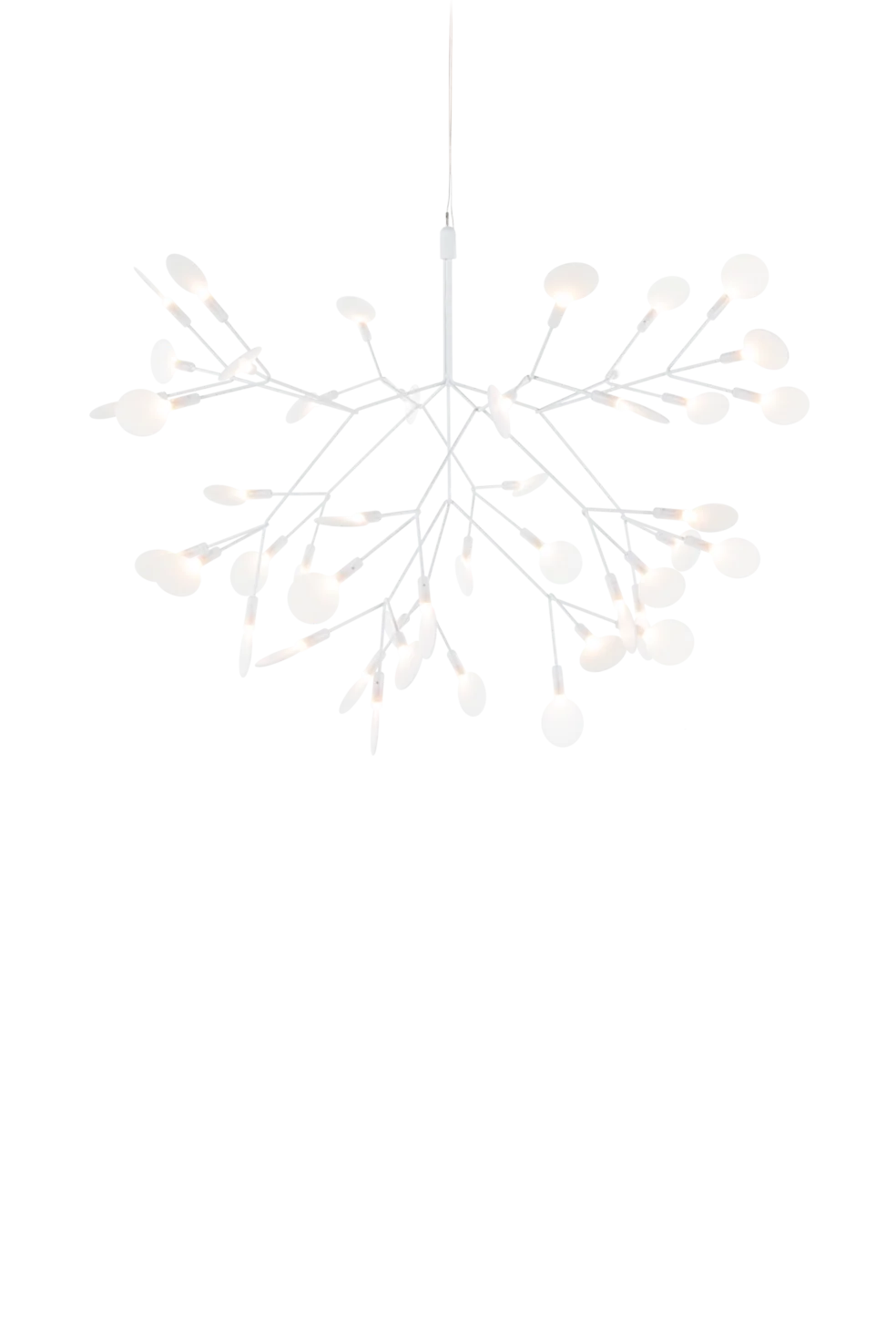 Heracleum III Small Suspensions LED