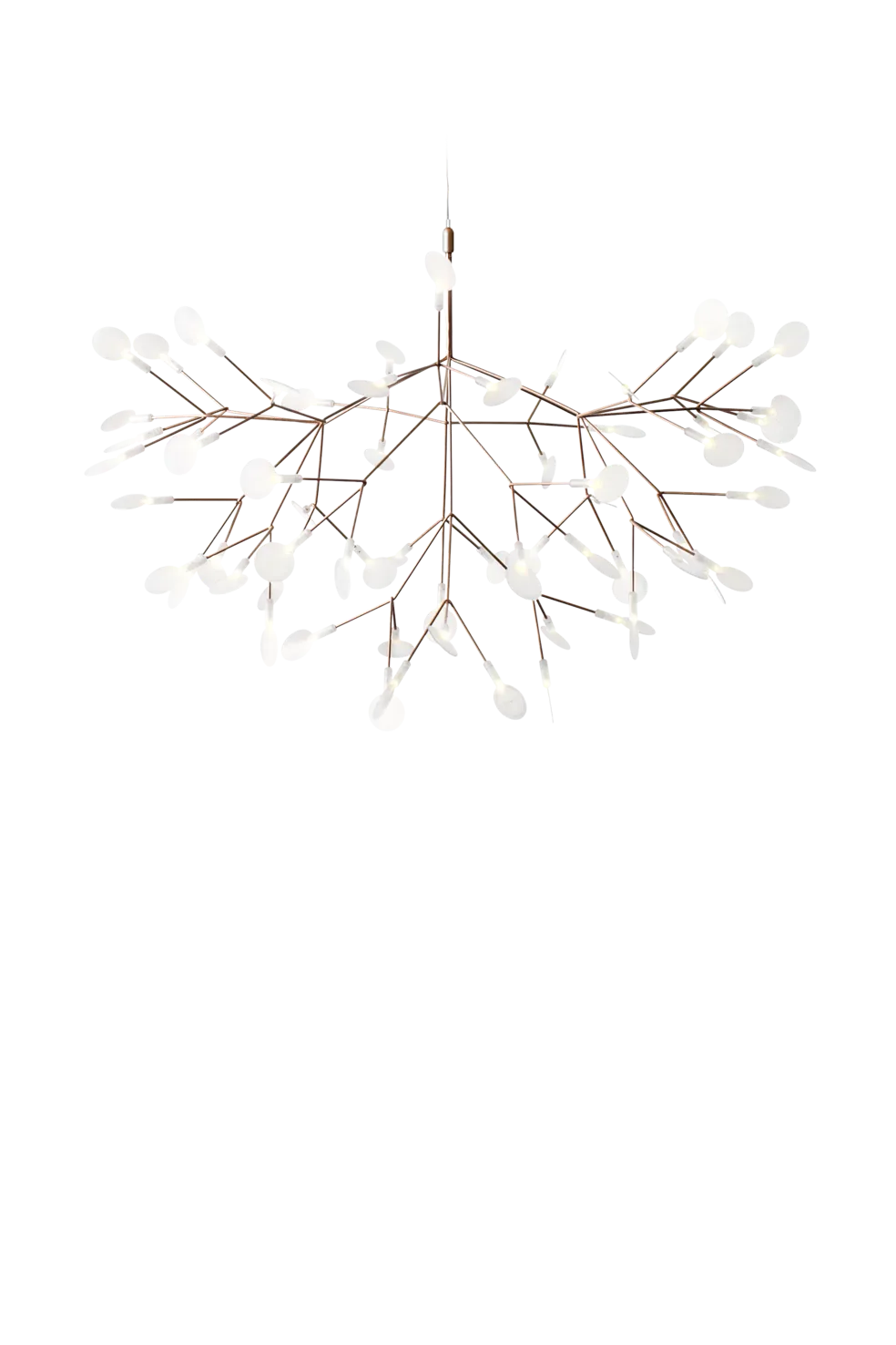 Heracleum III Large Suspensions LED