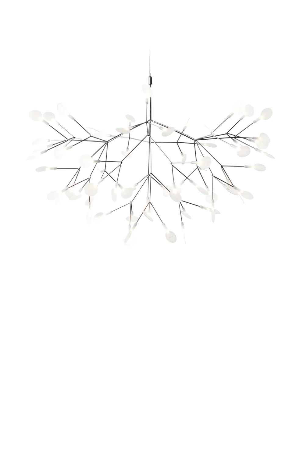 Heracleum III Large Suspensions LED
