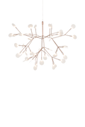 Heracleum III Small Suspensions LED