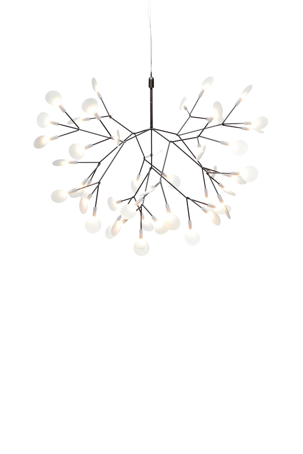 Heracleum III Small Suspensions LED