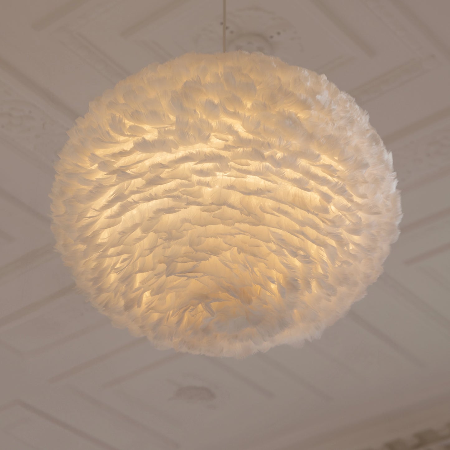 Eos Medium Kit Suspensions