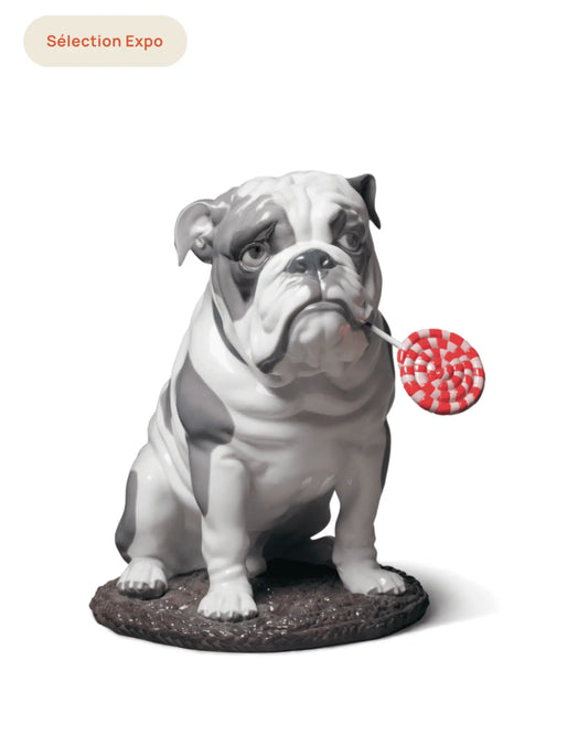Bulldog Blanc Figurines Outlet