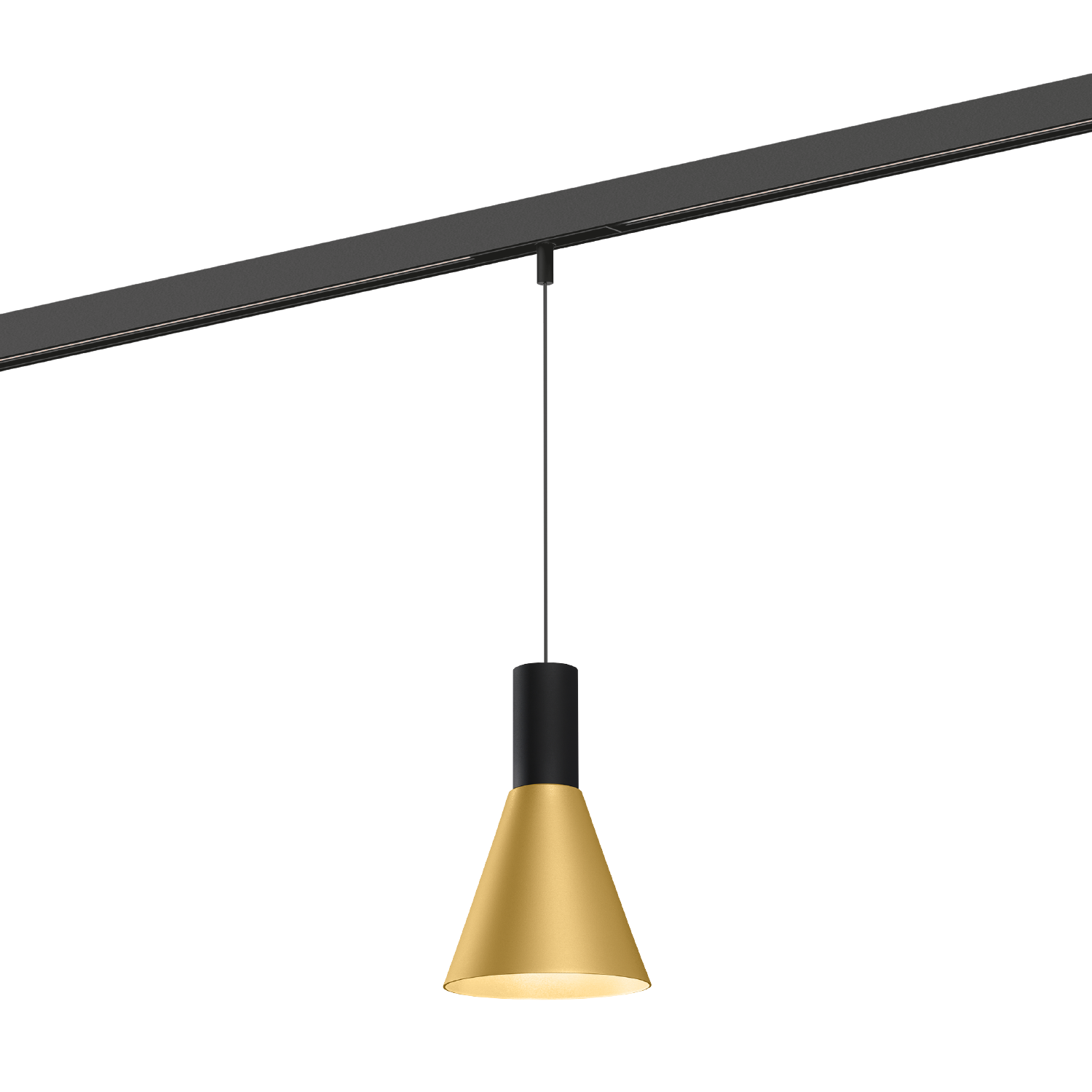 Noir mat + or