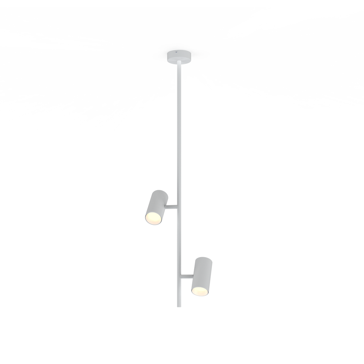 Gina Suspensions