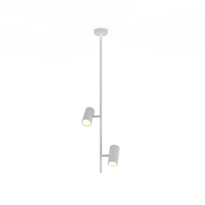 Gina Suspensions