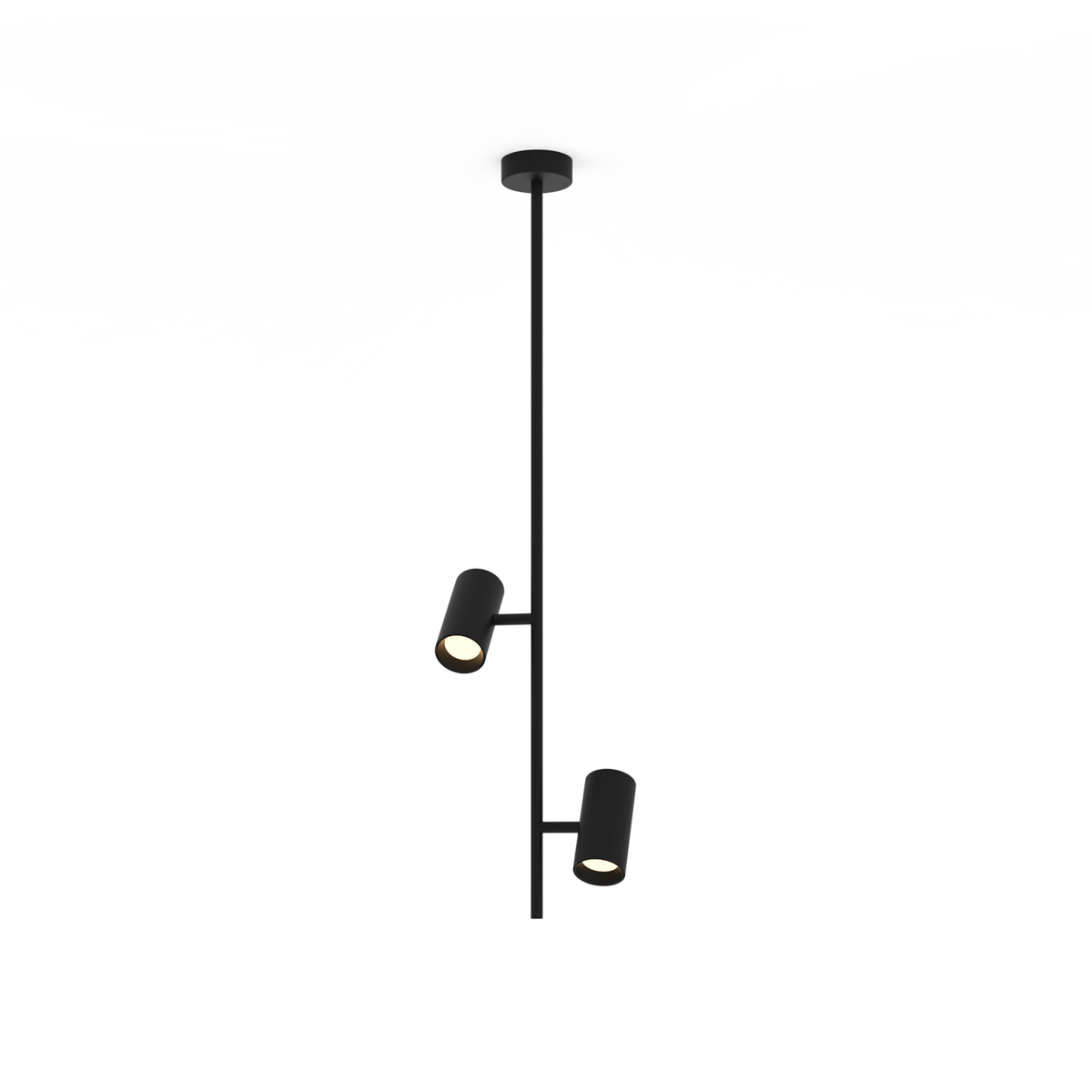 Gina Suspensions
