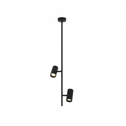 Gina Suspensions
