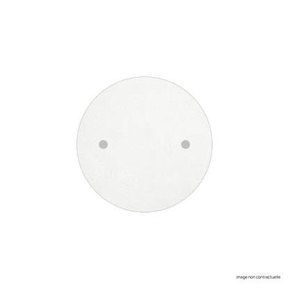 Platine 2 filins blanc