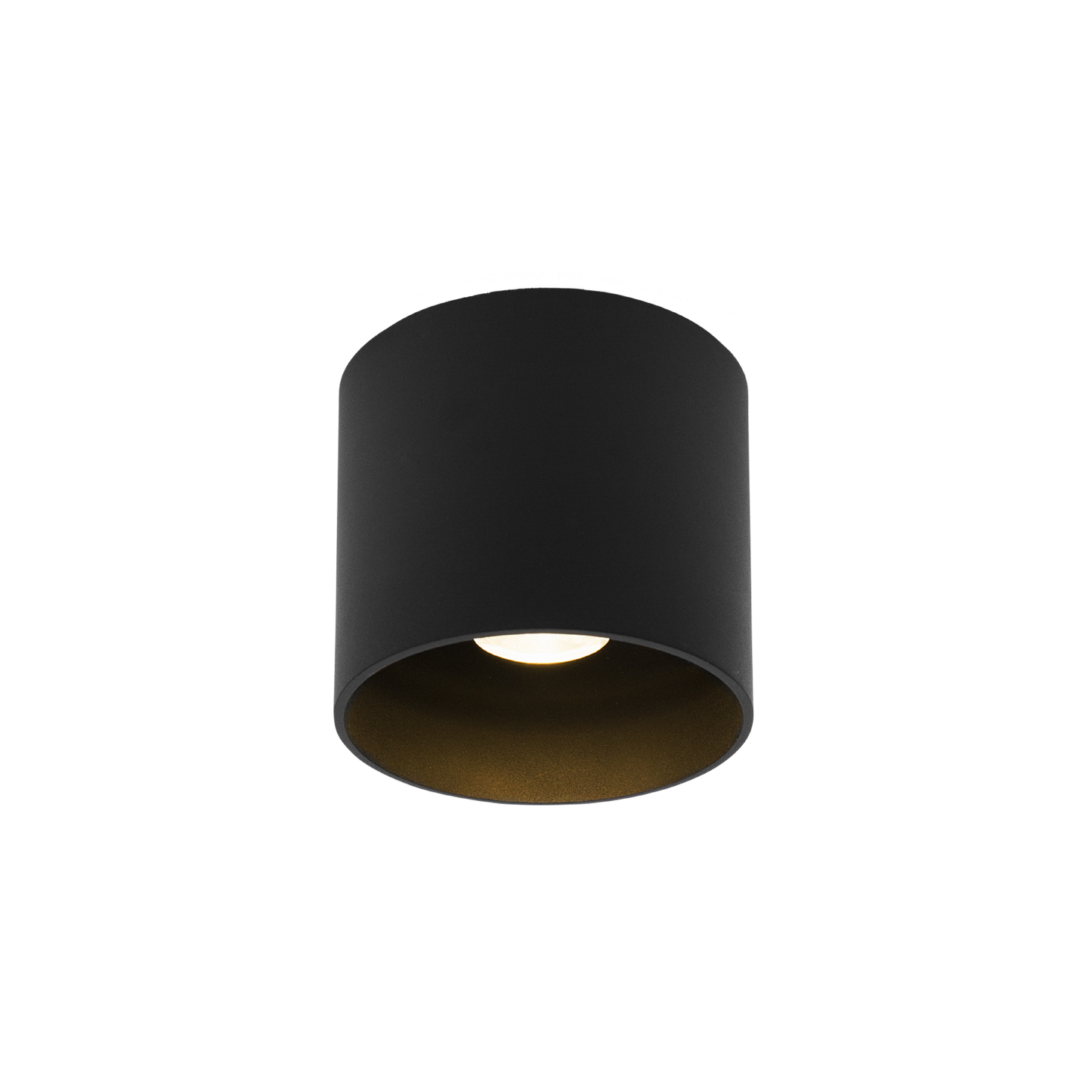 Ray 1.0 LED Colour warm dimming Plafonniers Outdoor
