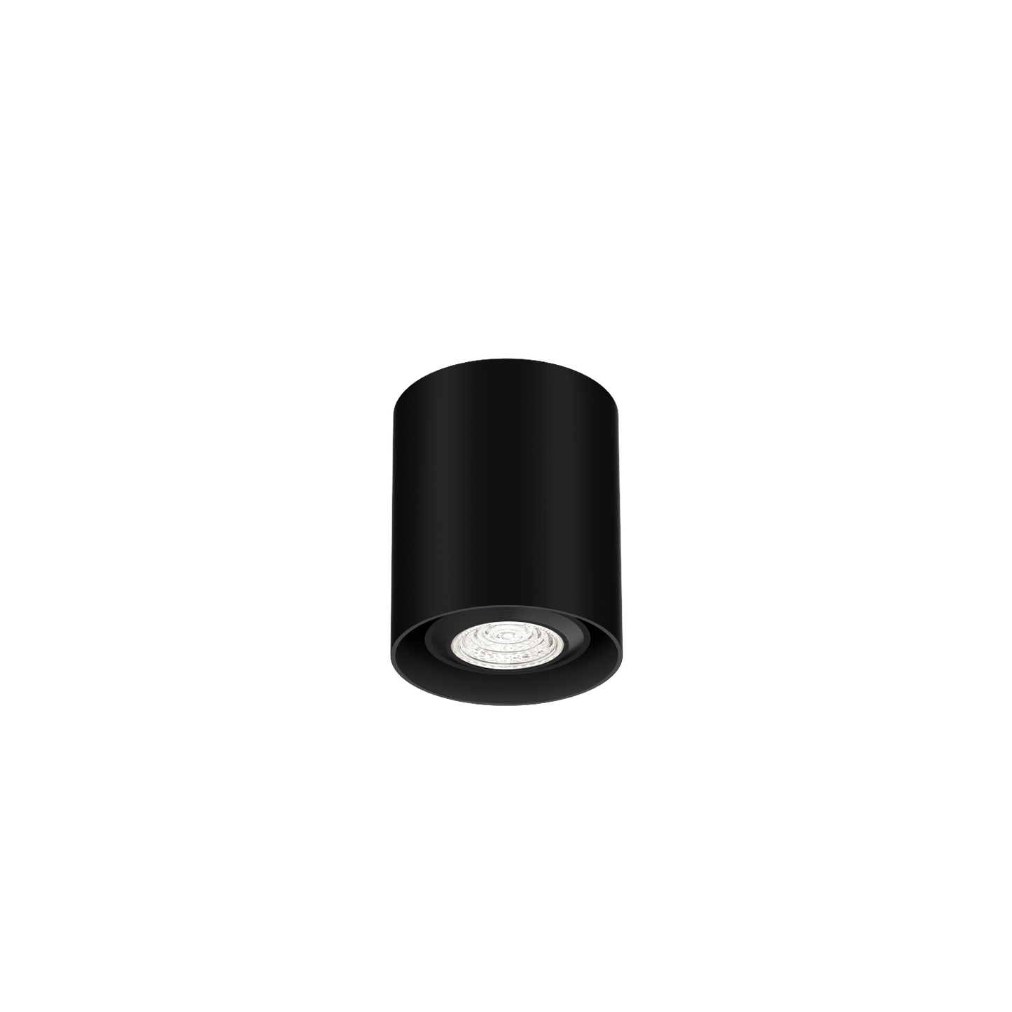 Ray Mini 1.0 PAR16 Plafonniers