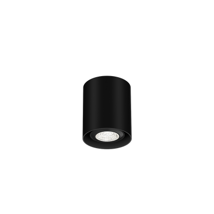 Ray Mini 1.0 PAR16 Plafonniers