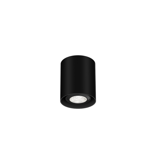 Ray Mini 1.0 PAR16 Plafonniers
