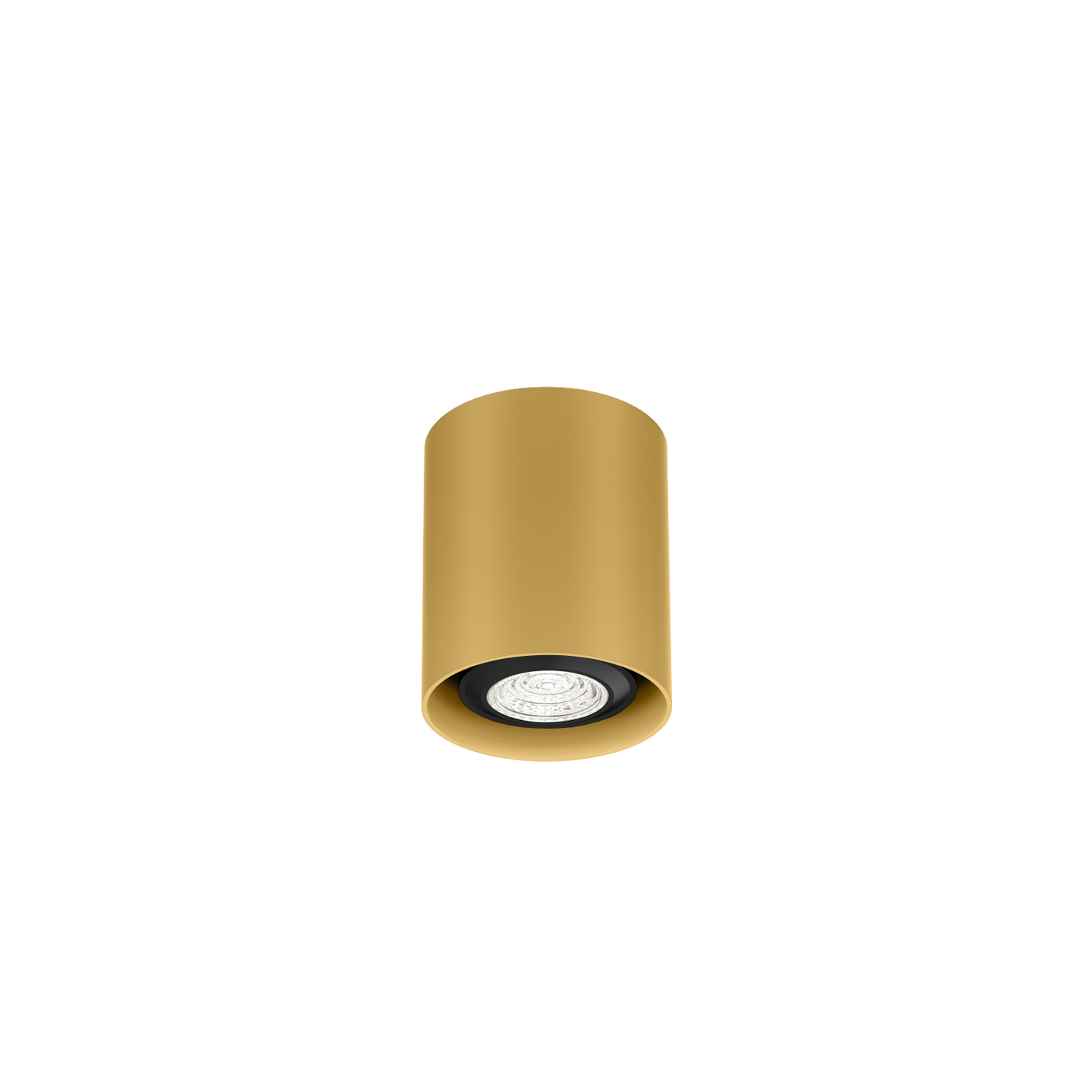 Ray Mini 1.0 PAR16 Plafonniers