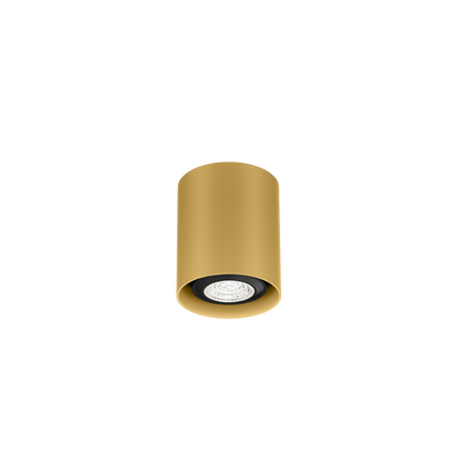 Ray Mini 1.0 PAR16 Plafonniers