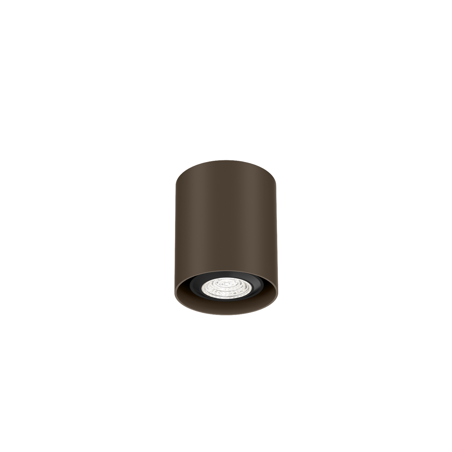 Ray Mini 1.0 PAR16 Plafonniers
