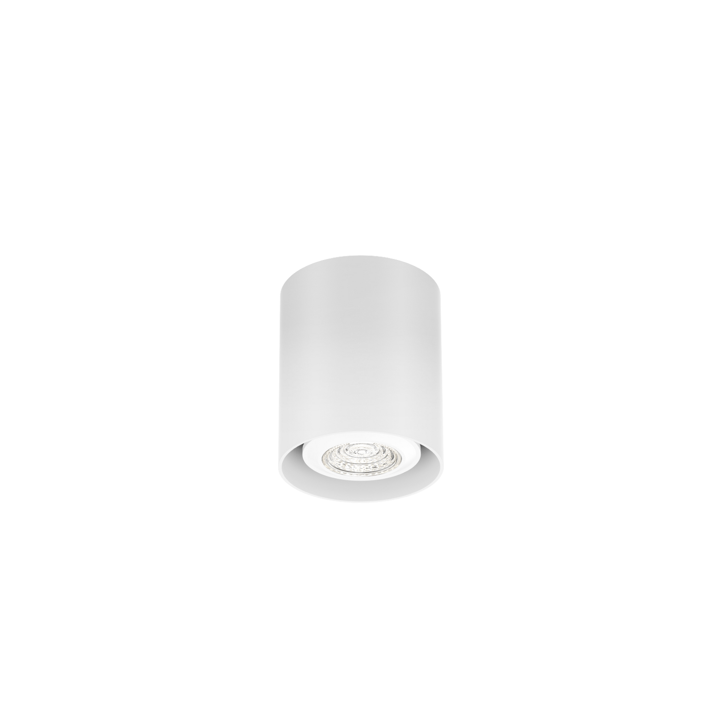 Ray Mini 1.0 PAR16 Plafonniers